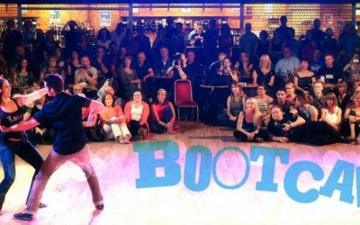 8 -11 August 2014 : UK Westie Bootcamp