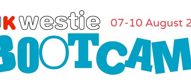 7 -10 August 2015 : UK Westie Bootcamp