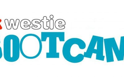 11th to 14th August 2017 : UK Westie Bootcamp