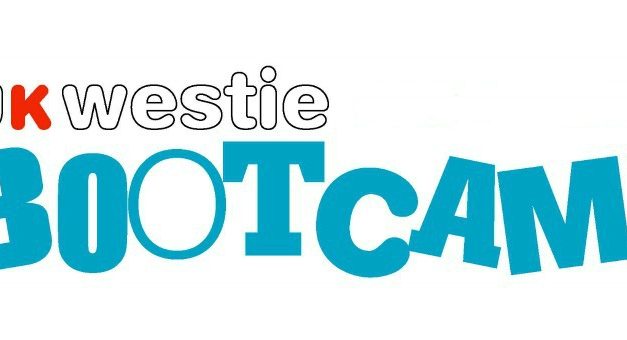 5 – 8 August 2016 : UK Westie Bootcamp