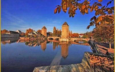 5 novembre 2016 – Ateliers WCS : Un automne en petits comités !