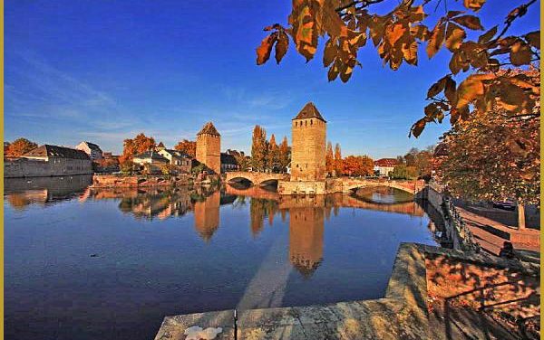 5 novembre 2016 – Ateliers WCS : Un automne en petits comités !