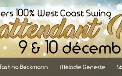 9-10 décembre 2017, ateliers WCS : En attendant Noël à Strasbourg !