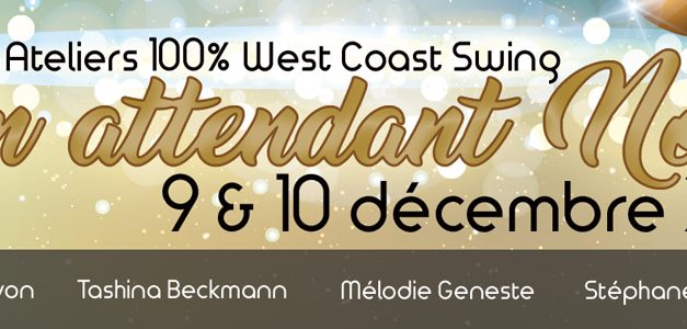 9-10 décembre 2017, ateliers WCS : En attendant Noël à Strasbourg !