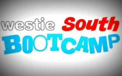 UK Westie Bootcamp South 21 to 24 october 2022